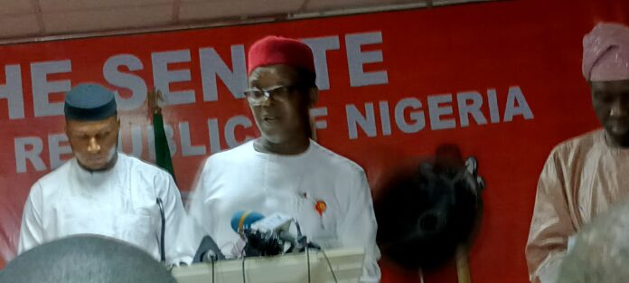 IMG_20230711_140338_350