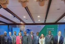 Nigeria Rallies Behind AU’s 2m Health Worker Push: “No Health Without Community – Salako