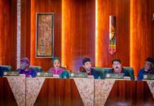 From Bureaucracy to Blockchain: Tinubu Bets on NINAuth to Power Nigeria’s Tech Future