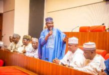 Kano 2027 Ignites Early as Ex-LG Bosses Coronate Barau in Power Play That Shakes APC Landscape